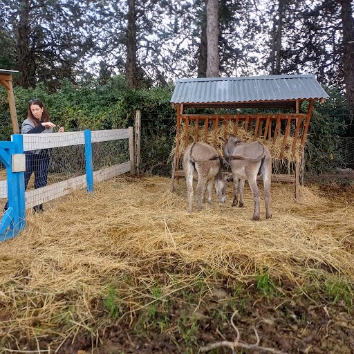 Photo from customer review