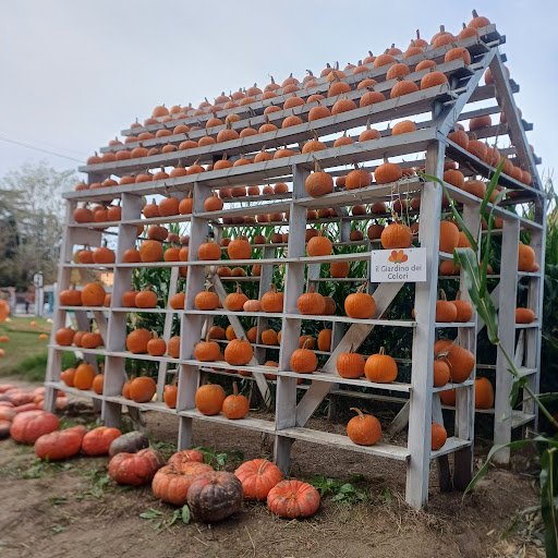 Photo from customer review