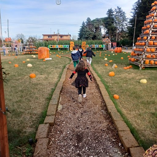 Photo from customer review